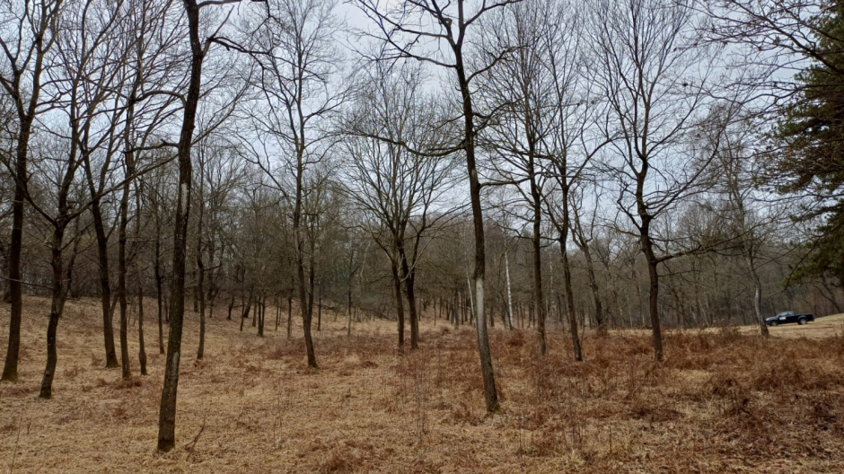 Lagoni di Mercurago, effettuato taglio e gestione delle brughiere